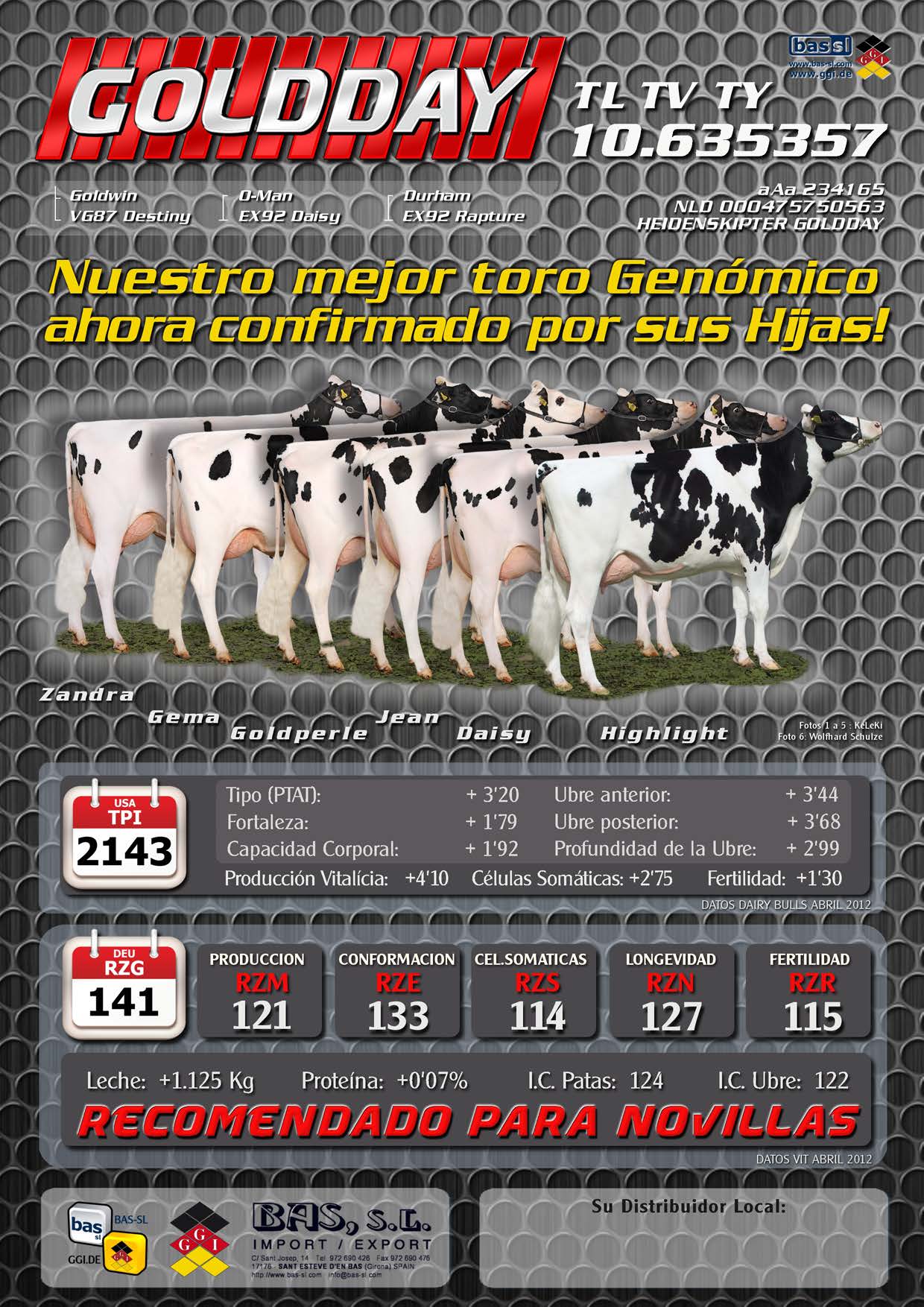 BAS·GGI | HOLSTEIN INTERNATIONAL | 635357 GOLDDAY